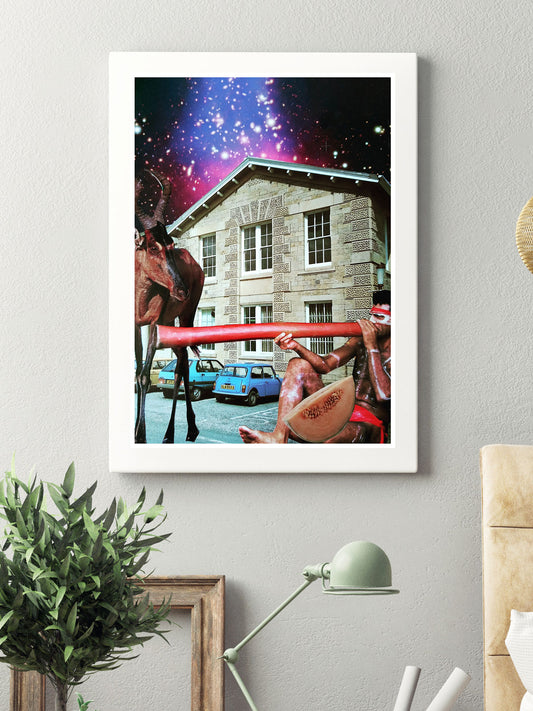 Digereedont by Steve Timms