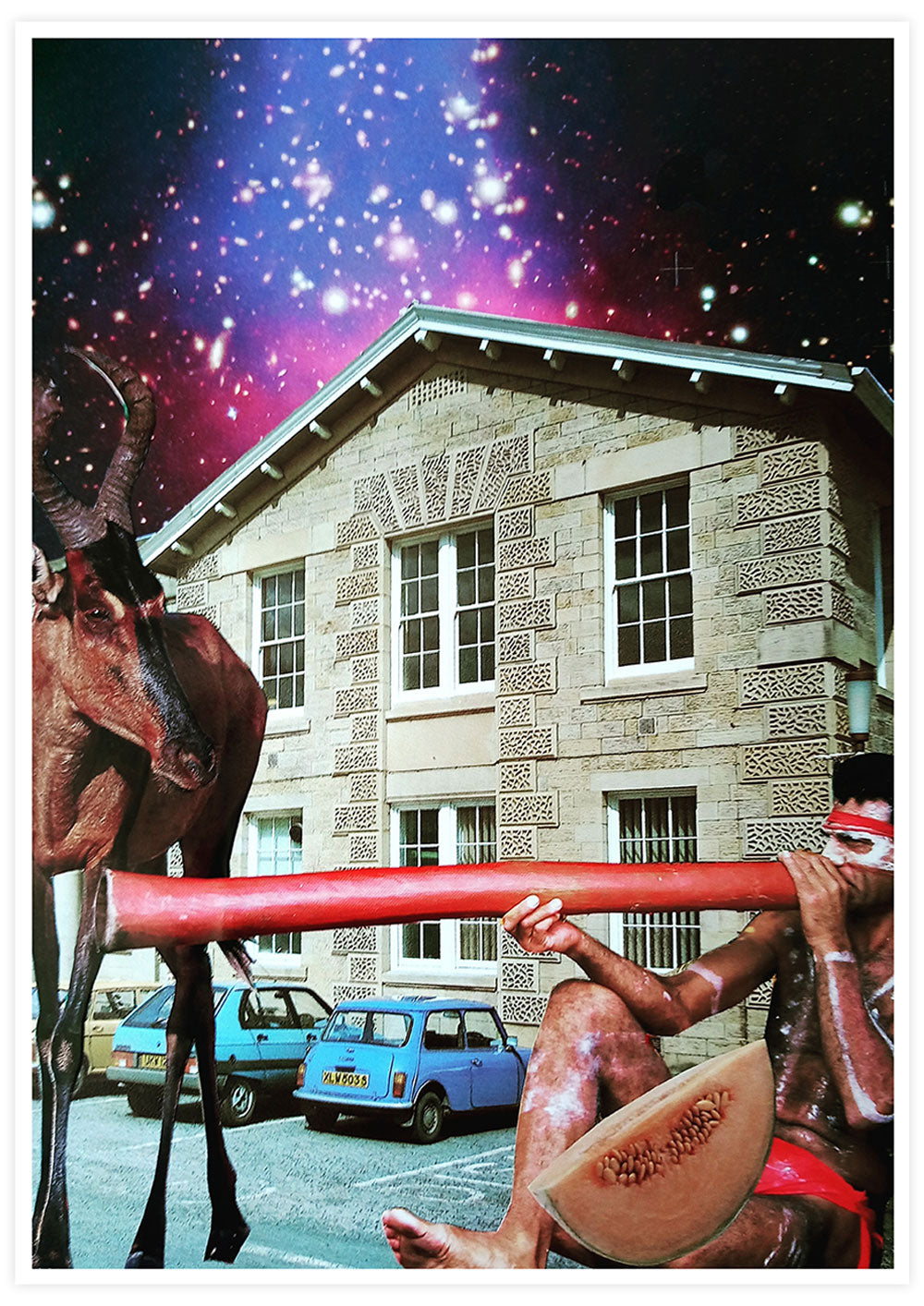 Digereedont by Steve Timms