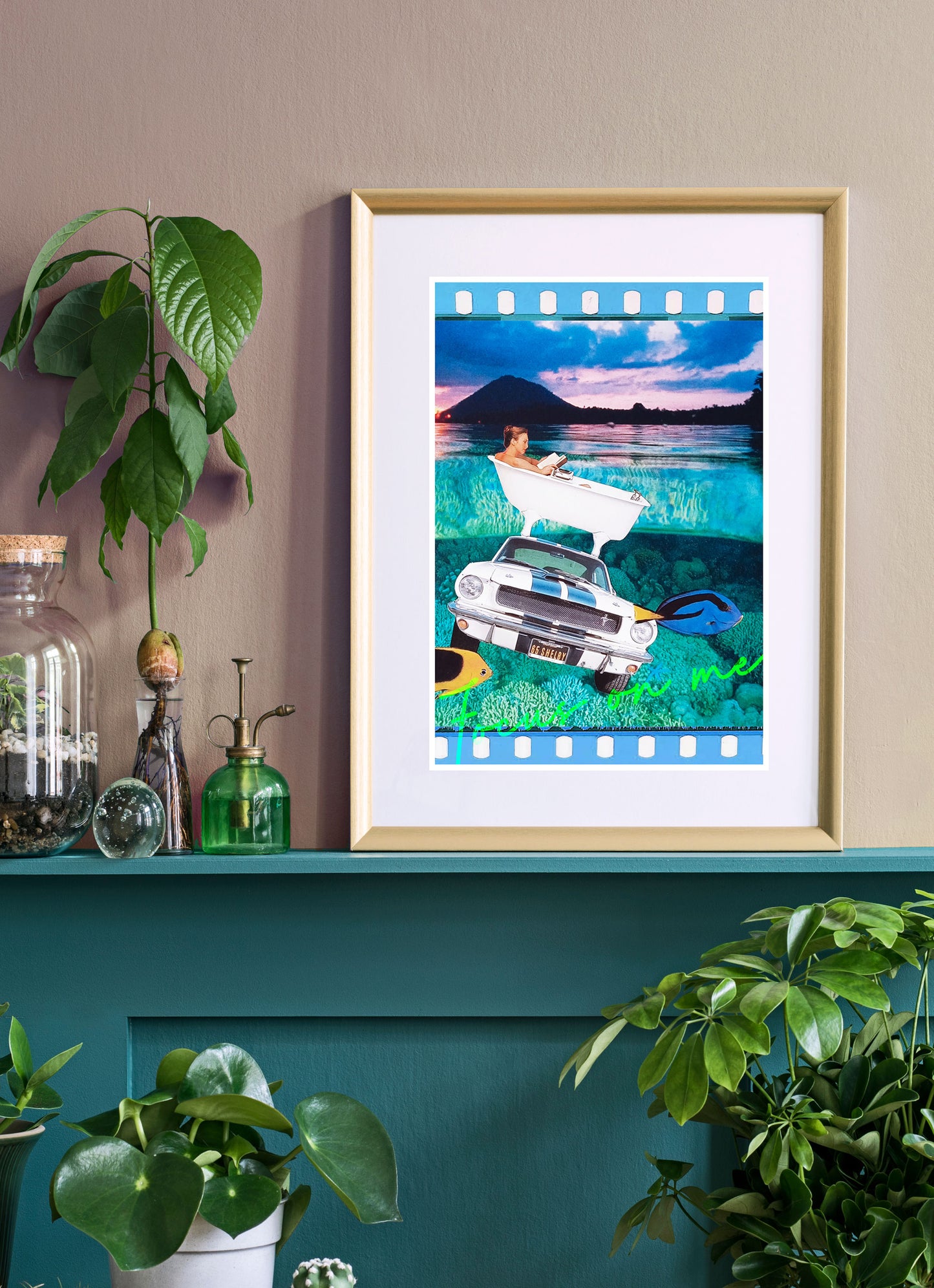 Focus by Steve Timms