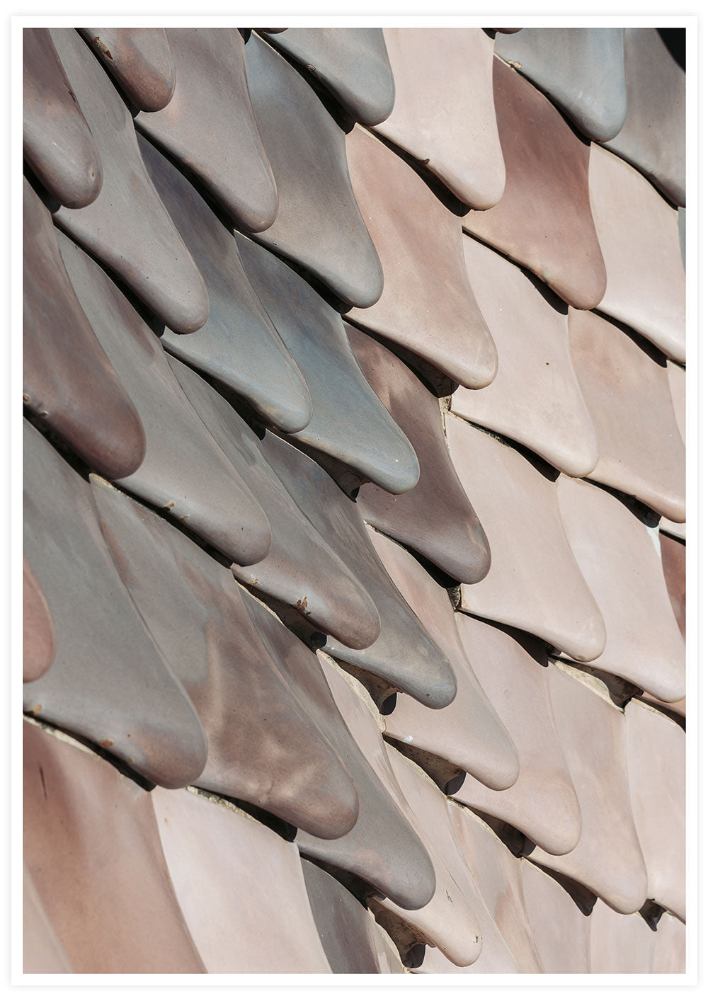 Batlló House Building Photo Wall Art