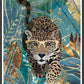 Leopard Art Print by Sarah Manovski in a frame