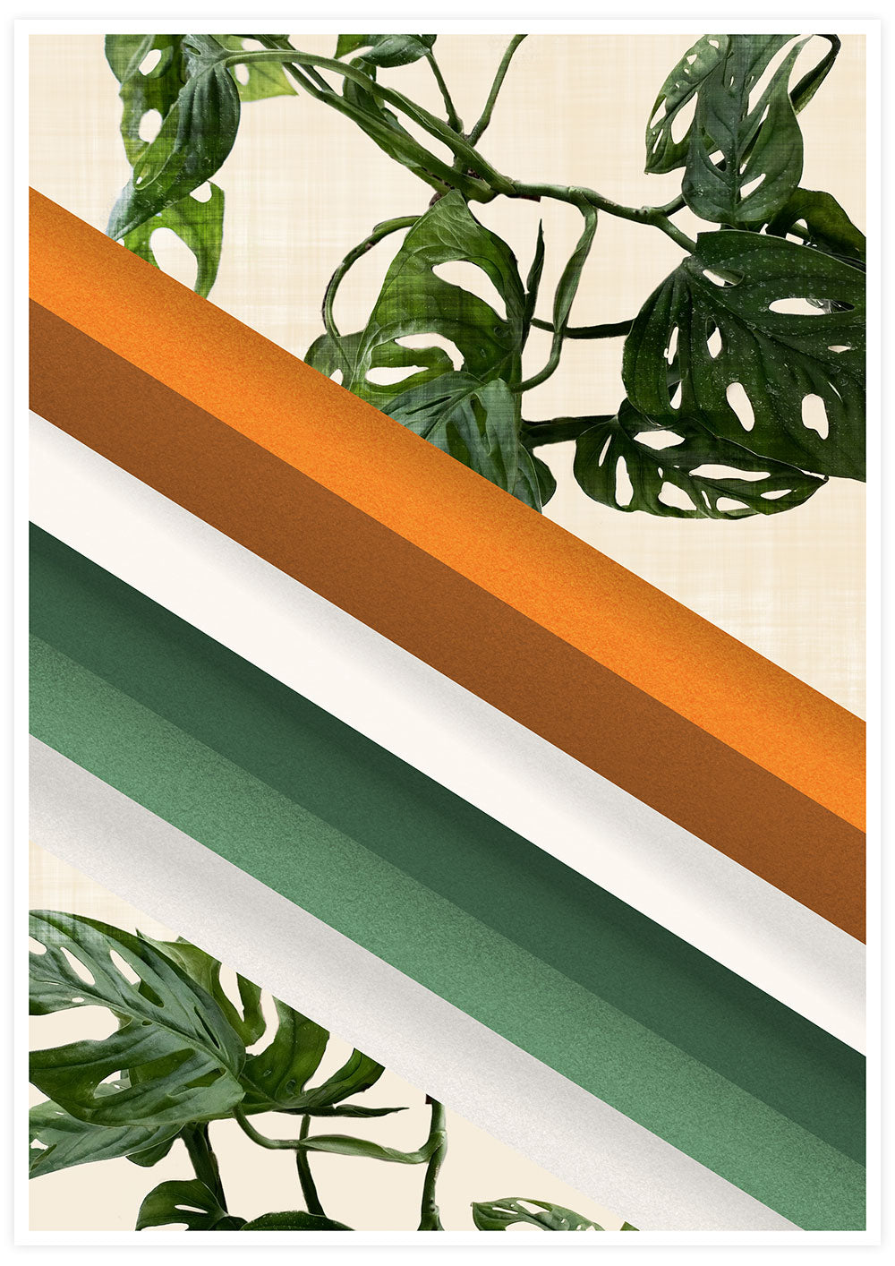 Monstera Ramp Retro Poster