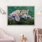 Snow Leopard Painting Print