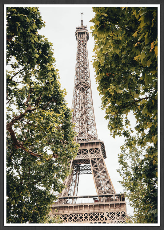 Eiffel Tower Beautiful Paris Print
