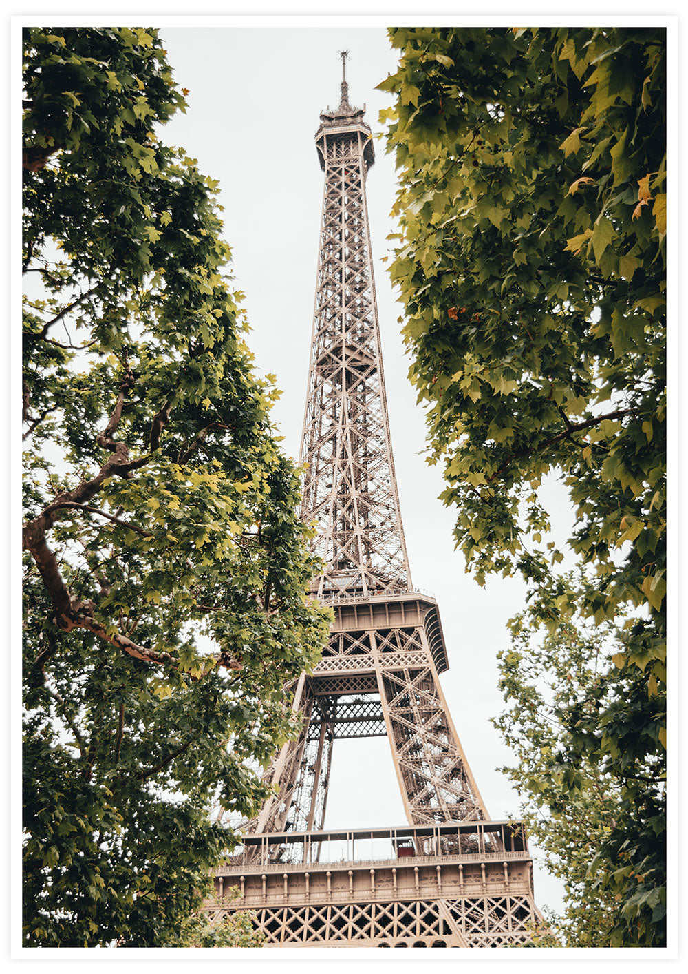 Eiffel Tower Beautiful Paris Poster