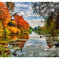 Lakeside Autumn Trees Landscape Print