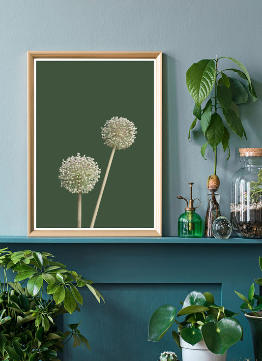 Allium Home Plant Print