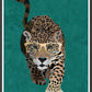 Cool Leopard Art Print by Sarah Manovski in a frame
