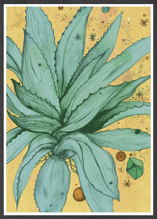 Dancing Aloe Botanical Print