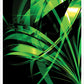 Macro Floral Green Abstract Art Print no frame