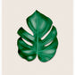 Simple and natural Monstera Leaf Art Print
