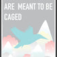 Caged Bird Art Print in a frame