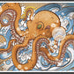 Octopus Sea Creature Print in a frame
