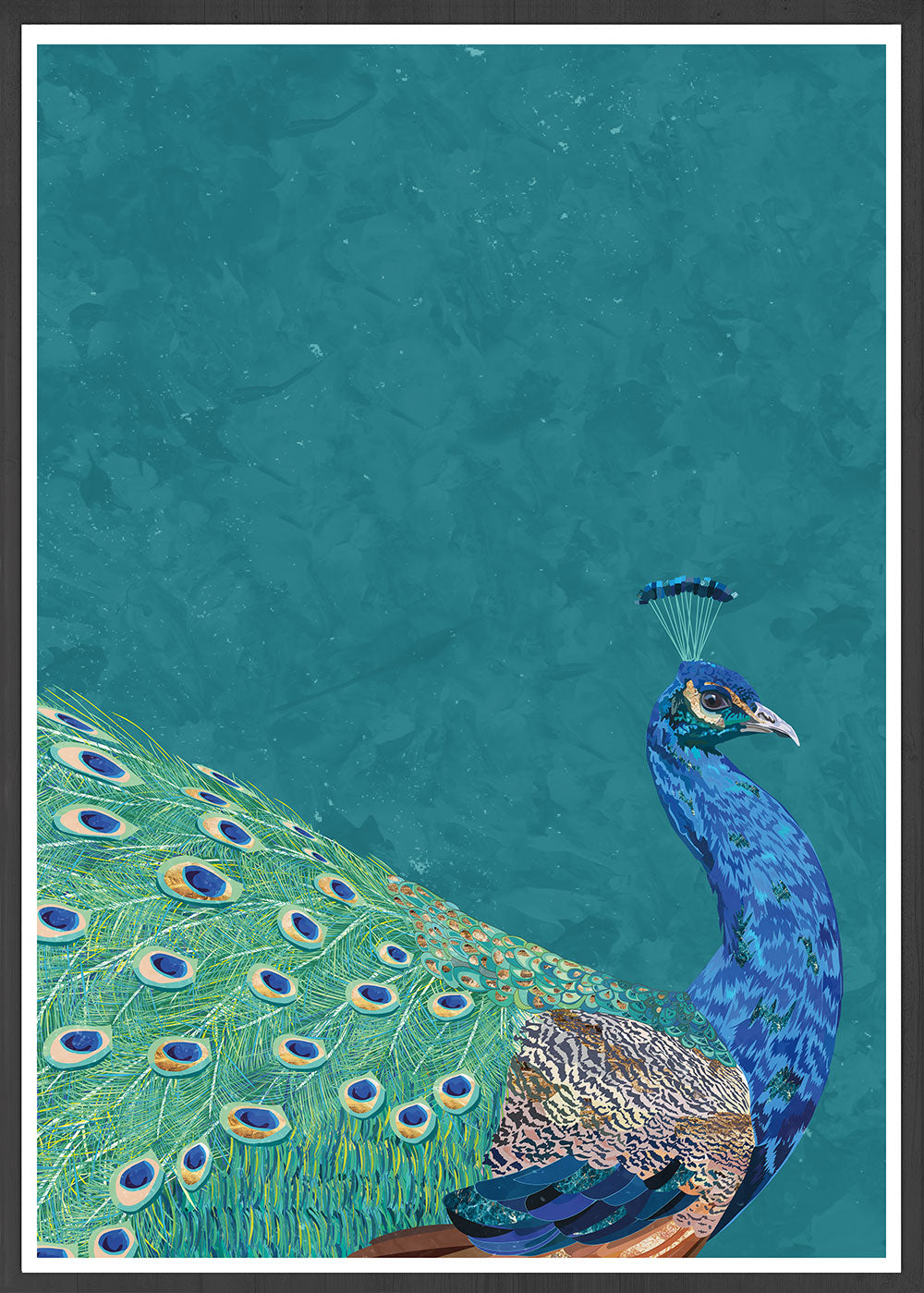 Peacock Art Print by Sarah Manovski ina beautiful frame