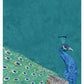 Peacock Art Print by Sarah Manovski.