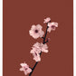 Plum Blossom Delicate Poster Print