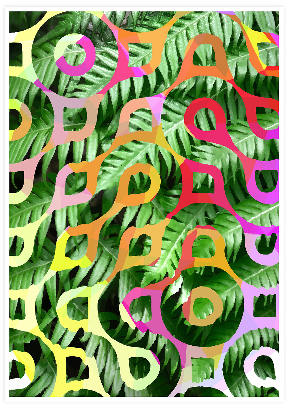 Tropicalia 5 Palm Leaf Poster