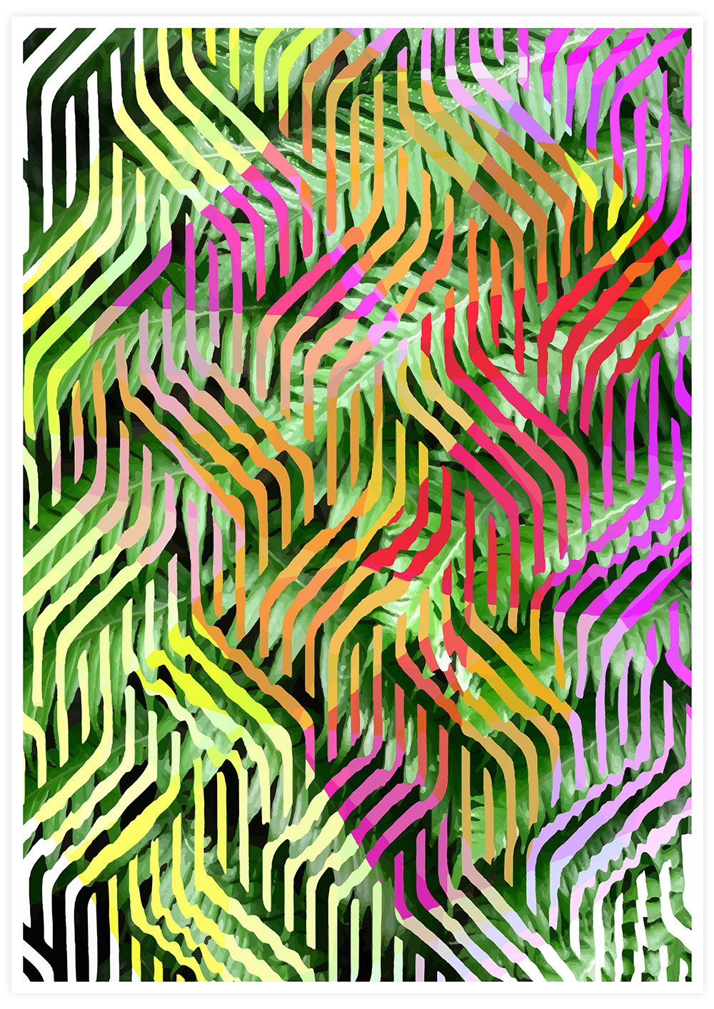 Tropicalia 7 Tropical Leaves Art Print