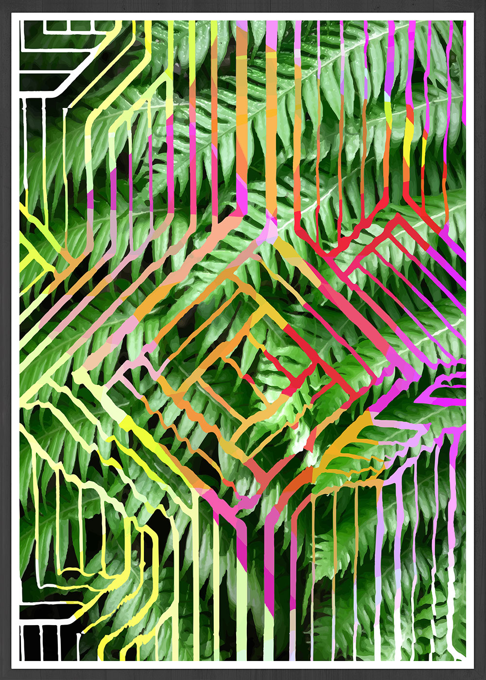 Tropicalia 12 Abstract Art Print